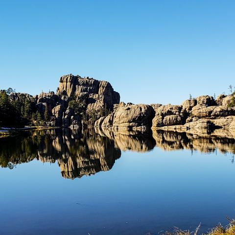 Your Heart in the Black Hills